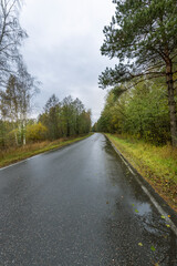 A road with trees on either side and a cloudy sky