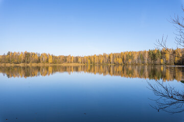 A lake with trees in the background and a clear blue sky