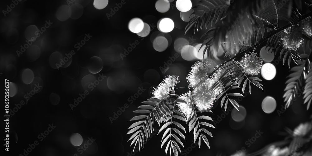 Poster a black and white photo of a tree branch, ideal for use in editorial or creative projects where simp