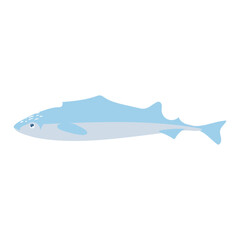 Abstract atlantic cod fish in flat design. Fishing industry aquaculture. Vector illustration isolated. © alexdndz