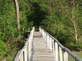 Fototapeta premium Ilha do Marajo, Amazonia, Brasil