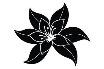 Black and white flower vector illustration