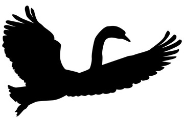 Fototapeta premium Flying Swan or Goose or Duck Silhouette Vector Illustration. Black and White Icon Design, Isolated on White Background, Editable and Scalable EPS for Nature or Wildlife Themes