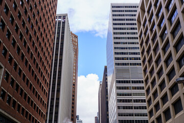 Fototapeta premium city manhattan 