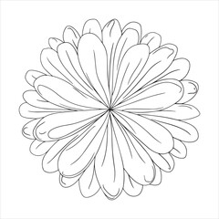 white flower on white background. Black line art flower icon illustration, flower head outline decoration.