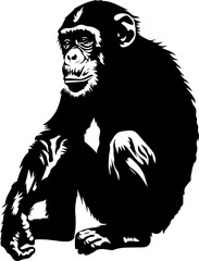 detalied black and white chimpanzee illustration