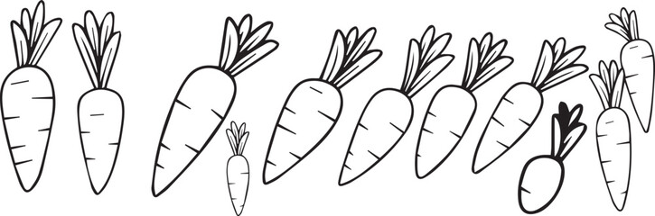 set of carrots, set of carrots in vector form.