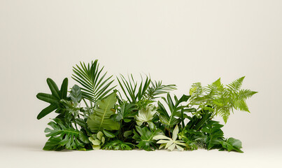 Lush Tropical Foliage Display: Vibrant Greenery and Botanical Arrangement