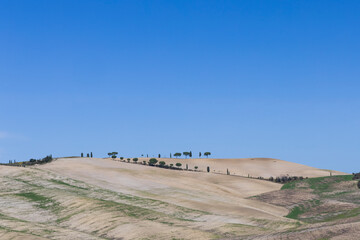 Toscana Siena Valle D'Orcia Chianti