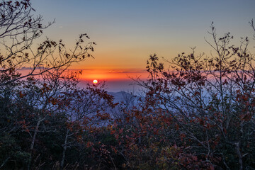 Obraz premium Sunrise From the Summit of Blood Mountain on the Appalachian Trail in Georgia