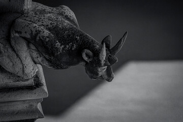 
photograph of gargoyles of notre dam cathedral
