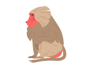 Side view of a cartoon baboon with distinctive red face and fur texture. Suitable for wildlife themes, educational materials, or zoo visuals. Vector illustration isolated on white background