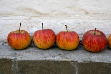 apples on the wall
