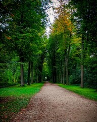 Obraz premium alley in the park