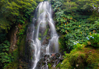 Green luxury. Forests and Waterfalls