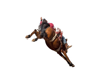 Cowboy riding a bucking bronc At Country Rodeo background removed