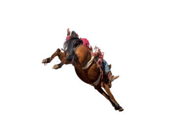 Cowboy riding a bucking bronc At Country Rodeo background removed