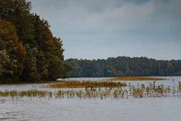 Retro boat in a misty lake. Fog in Shatsky lake, Ukraine. High resolution photo.