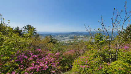 지리산에서 바라본 철쭉과 소도심의 풍경