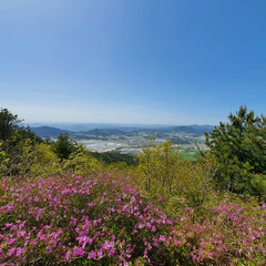 지리산에서 바라본 철쭉과 소도심의 풍경
