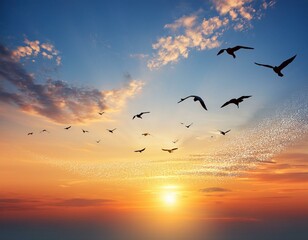 Obraz premium abstract beautiful peaceful summer sky background sunrise new day and flying flock of birds