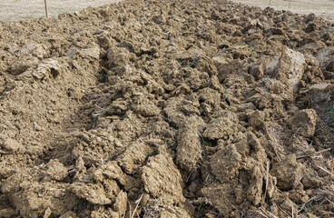 background of plowed soil lowed for the new season.