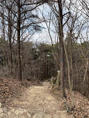 한국 작은 산의 숲 산책로