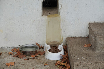 feeder with food and water for homeless animals on the street in a public place
