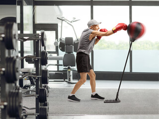 Elderely man punching a free standing boxing bag
