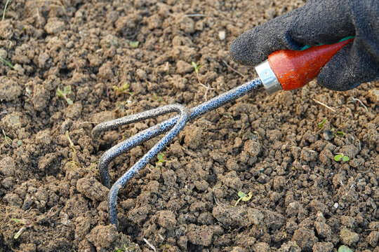 ool garden claw for working with the soil