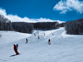 Snowboarders on a piste on a Japanese ski resort in winter (Zao)