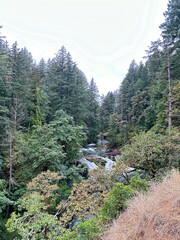 trail in the mountains