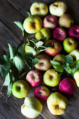 ekologiczne kolorowe jabłka