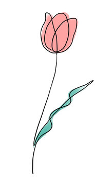 一筆書きピンクのチューリップのイラスト