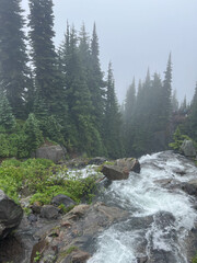 Obraz premium Waterfall going down the mountain at Mt.Rainier, Washington on a cloudy day. 