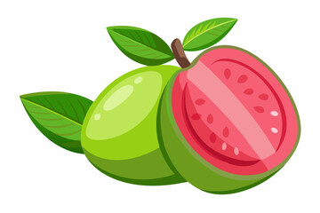 Guava on a white background vector art illustration