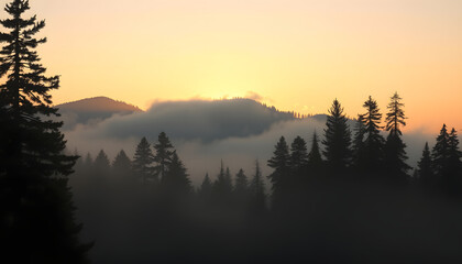 Fototapeta premium Misty foggy mountain pine forest at sunrise isolated with white highlights, png