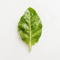 A single leaf of romaine lettuce, isolated on a white background, showcasing a fresh salad ingredient