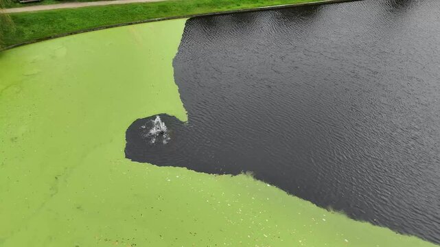 a lake covered with green algae