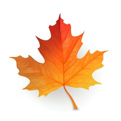 autumn maple leaf