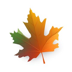 autumn maple leaf