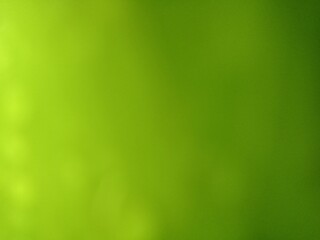 Close up of green colour with blur background 