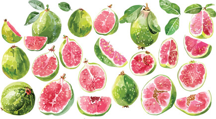 guava watercolor clipart