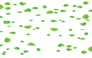 green Falling  petals vector. green petals isolated transparent background