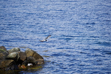 2024.04.21 Gjemnes, Angvika, Hjelset