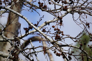 2024.04.21 Gjemnes, Angvika, Hjelset