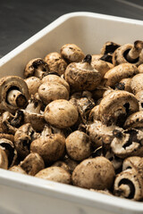 mushrooms in a bowl