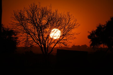 atardecer