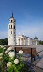 Cathedral Basilica of St. Stanislaus and St. Ladislaus in Vilnius, Lithuania