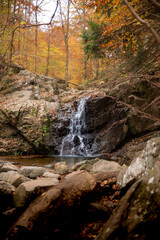 waterfall in autumn forest